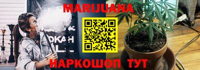 тгк Обь