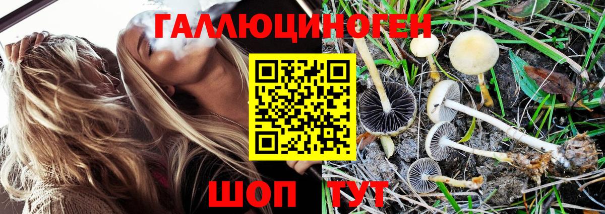 Псилоцибиновые грибы Magic Shrooms Трёхгорный