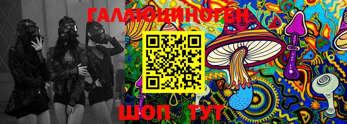 Псилоцибиновые грибы Psilocybe  Вход с VPN  Трёхгорный 